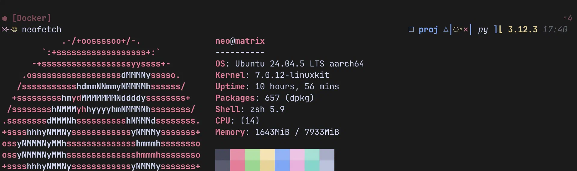 The jetpack prompt in a terminal